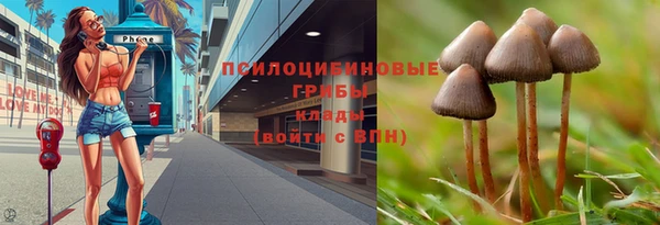 стаф Гусь-Хрустальный