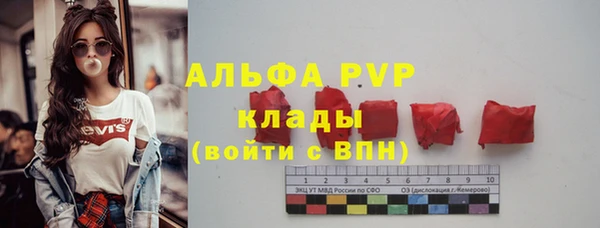 стаф Гусь-Хрустальный
