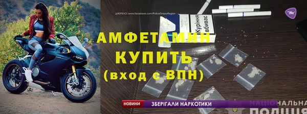 стаф Гусь-Хрустальный