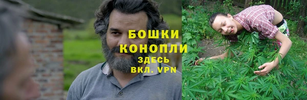 стаф Гусь-Хрустальный