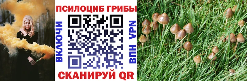 Галлюциногенные грибы Magic Shrooms  darknet как зайти  Одинцово 